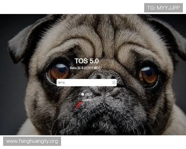 皇冠登录账号密码忘记怎么办，详细解决方案帮助你快速找回账号