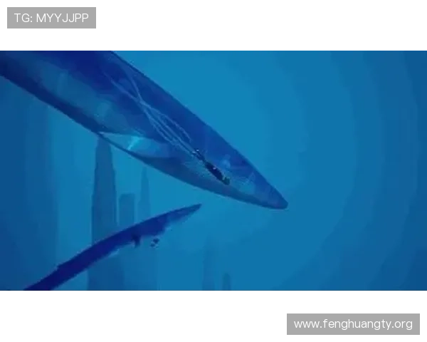 蓝鲸网址官方地址官方入口全攻略，确保玩家顺利进入游戏体验最佳内容