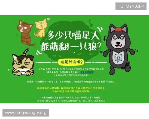 球友会体育官网版优化建议与用户体验提升方案，打造更流畅的游戏环境